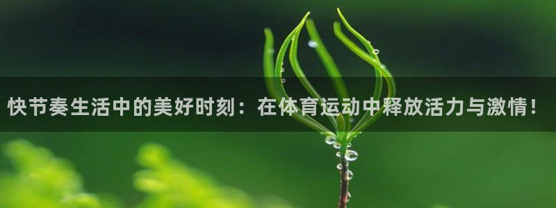 678体育