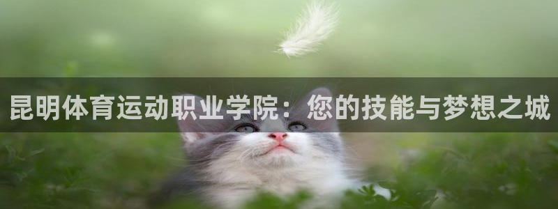 678体育