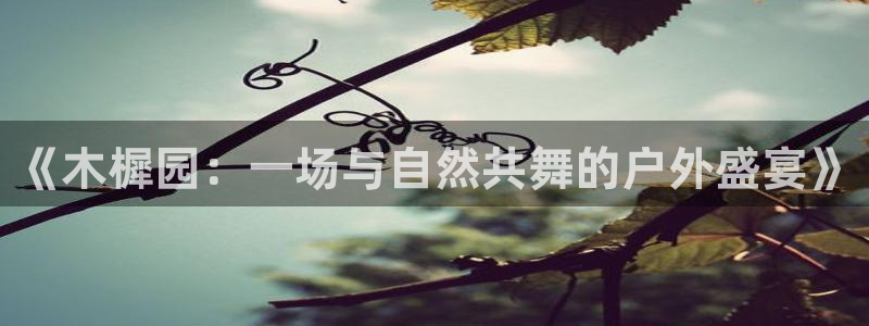678体育