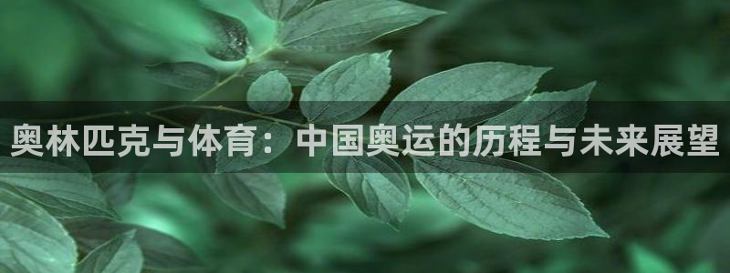 皇冠678体育
