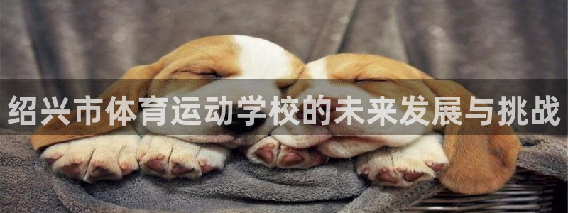 678体育官网