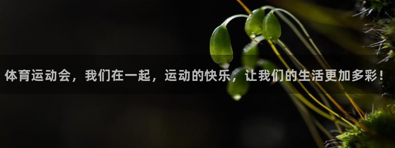 678体育官网