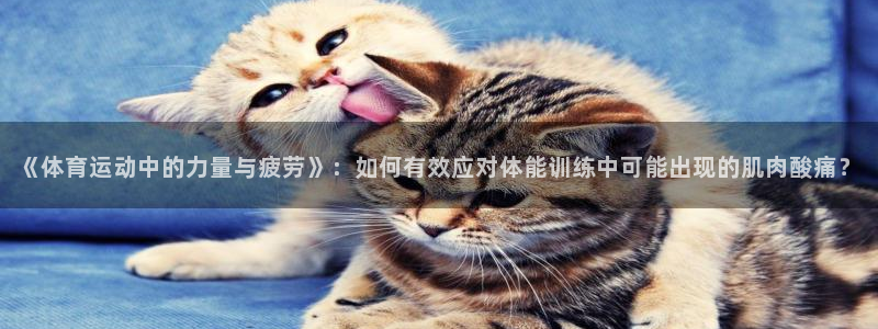 678体育官网地址