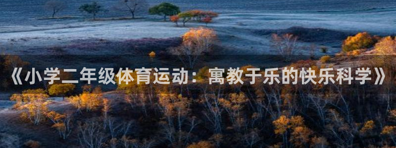 678体育官网