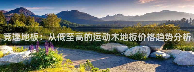 678体育官网地址