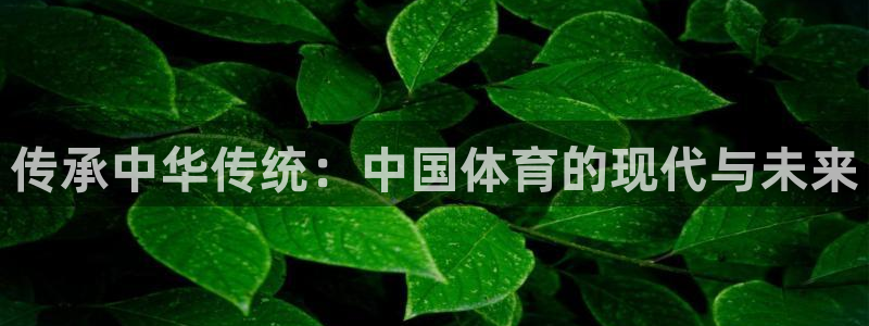 678体育
